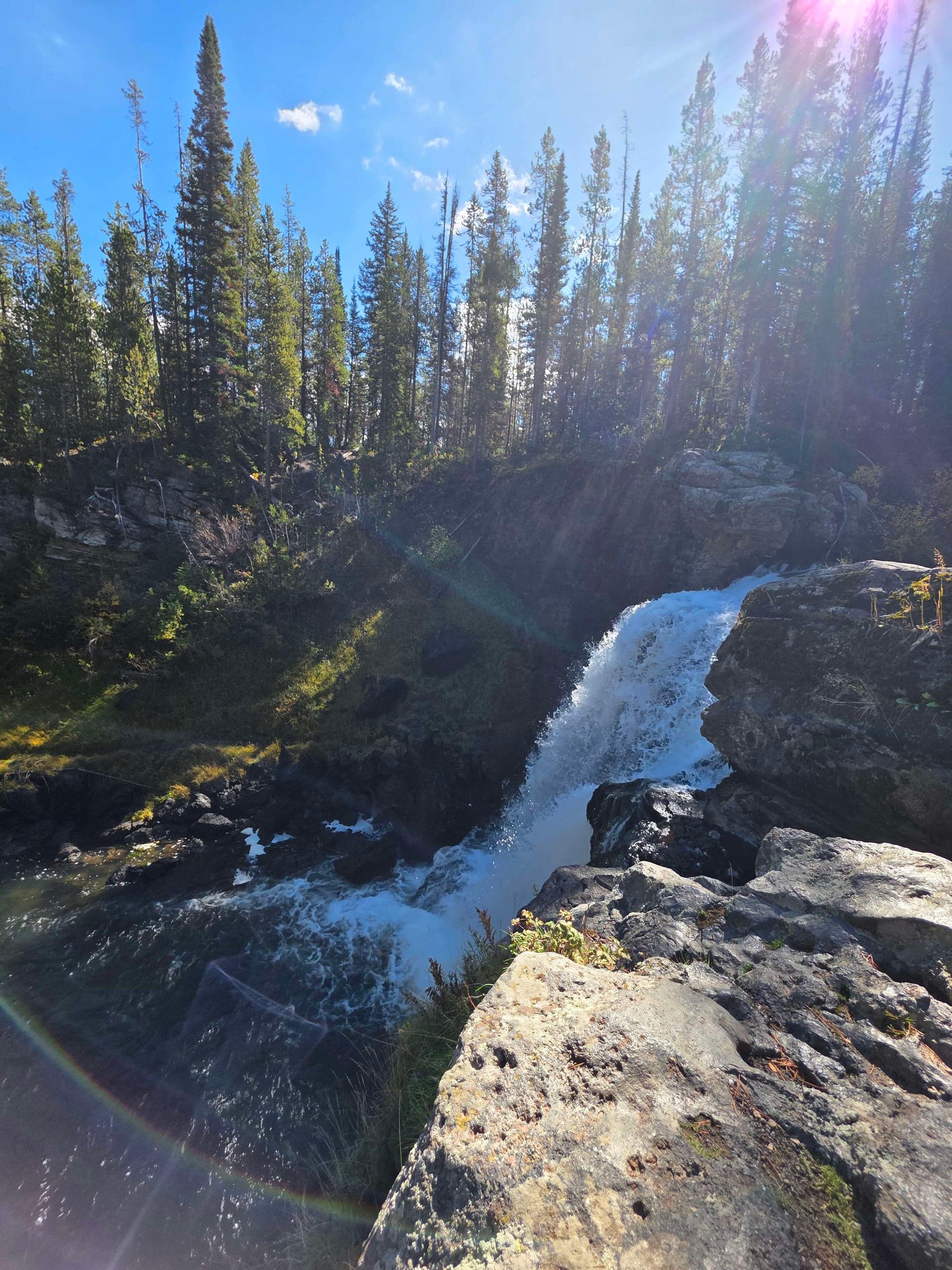 A waterfall pouring over rocks beneath a pine forest